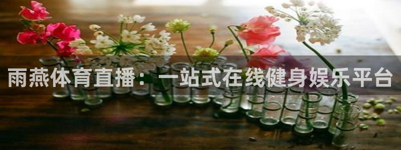 雨燕体育直播：一站式在线健身娱乐平台