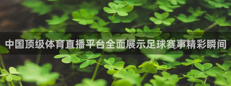 中国顶级体育直播平台全面展示足球赛事精彩瞬间