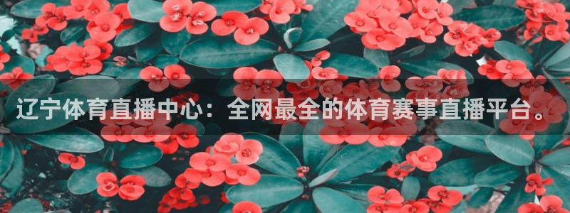 辽宁体育直播中心：全网最全的体育赛事直播平台。