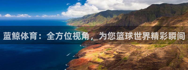 蓝鲸体育：全方位视角，为您篮球世界精彩瞬间
