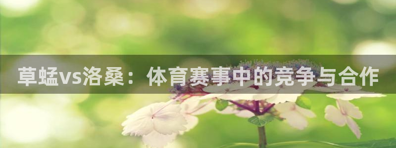 草蜢vs洛桑：体育赛事中的竞争与合作