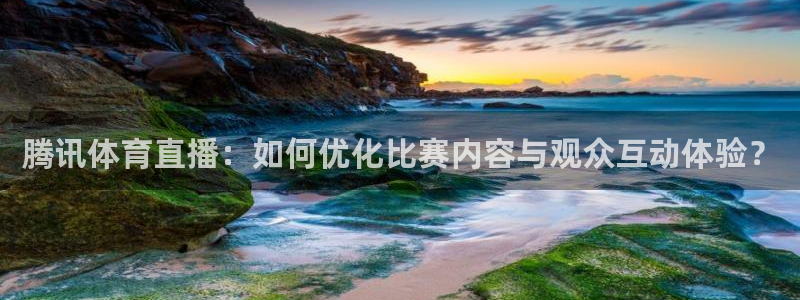 腾讯体育直播：如何优化比赛内容与观众互动体验？