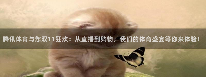 腾讯体育与您双11狂欢：从直播到购物，我们的体育盛宴等你来体验！